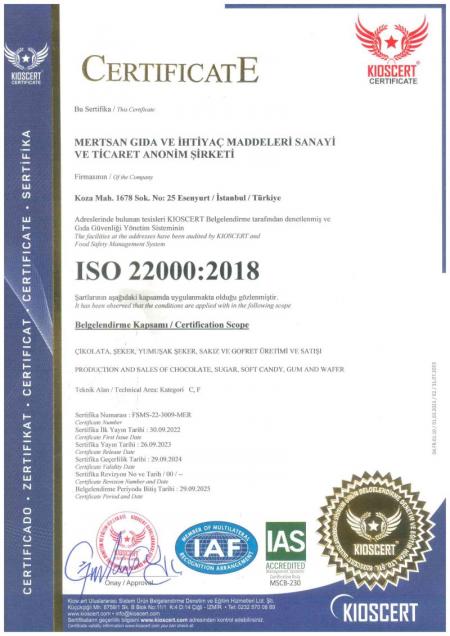  Iso 22000
